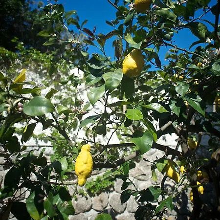 Отель Pietra Pomice