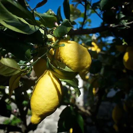 Отель Pietra Pomice 3*